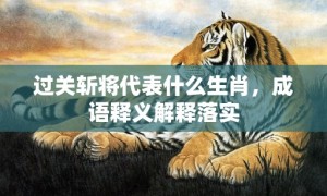 过关斩将代表什么生肖，成语释义解释落实