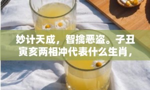 妙计天成，智擒恶盗。子丑寅亥两相冲代表什么生肖，成语释义解释落实