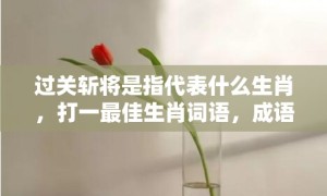 过关斩将是指代表什么生肖，打一最佳生肖词语，成语释义解释落实