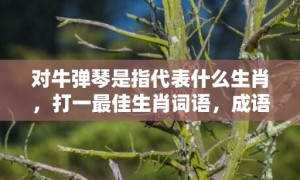 对牛弹琴是指代表什么生肖，打一最佳生肖词语，成语释义解释落实