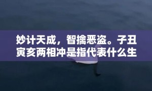 妙计天成，智擒恶盗。子丑寅亥两相冲是指代表什么生肖，打一最佳生肖词语