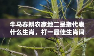 牛马春耕农家地二是指代表什么生肖，打一最佳生肖词语，成语释义解释落实