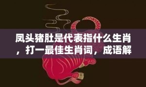 凤头猪肚是代表指什么生肖，打一最佳生肖词，成语解释落实释义