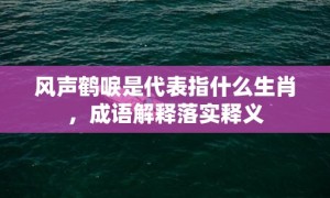 风声鹤唳是代表指什么生肖，成语解释落实释义