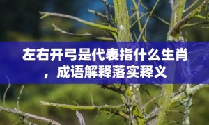 左右开弓是代表指什么生肖，成语解释落实释义