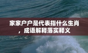 家家户户是代表指什么生肖，成语解释落实释义