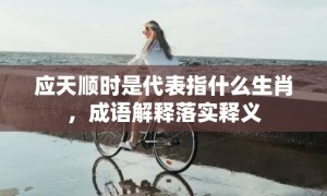 应天顺时是代表指什么生肖，成语解释落实释义