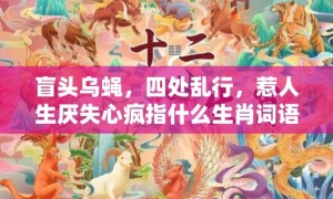 盲头乌蝇，四处乱行，惹人生厌失心疯指什么生肖词语，成语释义解释落实