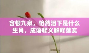 含恨九泉，怆然泪下是什么生肖，成语释义解释落实