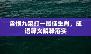 含恨九泉打一最佳生肖，成语释义解释落实