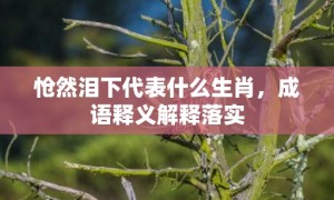 怆然泪下代表什么生肖，成语释义解释落实