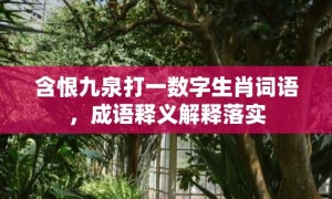 含恨九泉打一数字生肖词语，成语释义解释落实