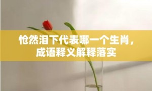 怆然泪下代表哪一个生肖，成语释义解释落实