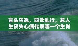 盲头乌蝇，四处乱行，惹人生厌失心疯代表哪一个生肖，成语释义解释落实