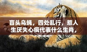 盲头乌蝇，四处乱行，惹人生厌失心疯代表什么生肖，成语释义解释落实