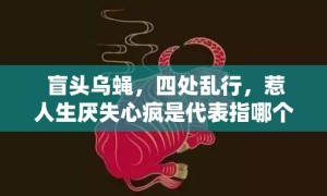 盲头乌蝇，四处乱行，惹人生厌失心疯是代表指哪个什么生肖，成语释义解释落实