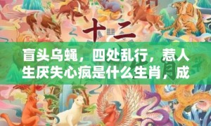 盲头乌蝇，四处乱行，惹人生厌失心疯是什么生肖，成语释义解释落实