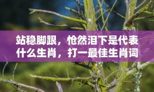 站稳脚跟，怆然泪下是代表什么生肖，打一最佳生肖词语，词语揭晓答案