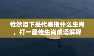 怆然泪下是代表指什么生肖，打一最佳生肖成语解释