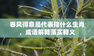 春风得意是代表指什么生肖，成语解释落实释义