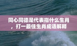 同心同德是代表指什么生肖，打一最佳生肖成语解释