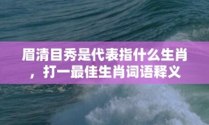 眉清目秀是代表指什么生肖，打一最佳生肖词语释义