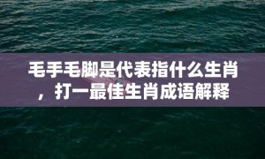 毛手毛脚是代表指什么生肖，打一最佳生肖成语解释