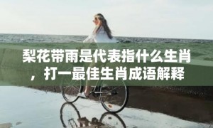 梨花带雨是代表指什么生肖，打一最佳生肖成语解释