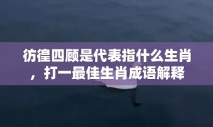 彷徨四顾是代表指什么生肖，打一最佳生肖成语解释