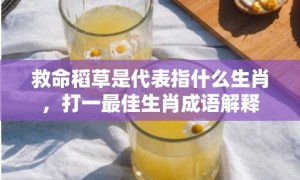 救命稻草是代表指什么生肖，打一最佳生肖成语解释