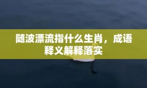 随波漂流指什么生肖，成语释义解释落实