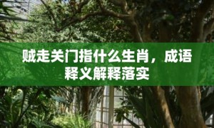 贼走关门指什么生肖，成语释义解释落实