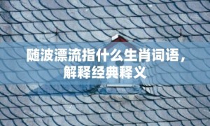 随波漂流指什么生肖词语，解释经典释义