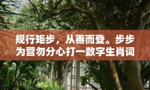 规行矩步，从善而登。步步为营勿分心打一数字生肖词语，成语释义解释落实