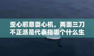 歪心邪意耍心机，两面三刀不正派是代表指哪个什么生肖，成语释义解释落实