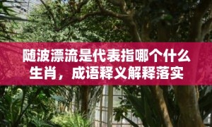 随波漂流是代表指哪个什么生肖，成语释义解释落实