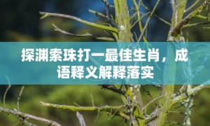 探渊索珠打一最佳生肖，成语释义解释落实