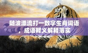 随波漂流打一数字生肖词语，成语释义解释落实