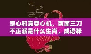 歪心邪意耍心机，两面三刀不正派是什么生肖，成语释义解释落实