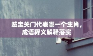 贼走关门代表哪一个生肖，成语释义解释落实