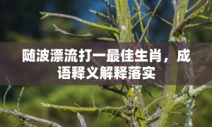 随波漂流打一最佳生肖，成语释义解释落实