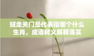 贼走关门是代表指哪个什么生肖，成语释义解释落实