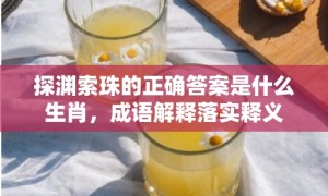 探渊索珠的正确答案是什么生肖，成语解释落实释义