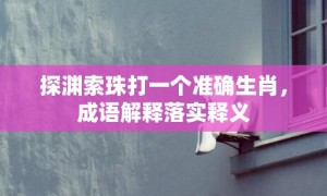 探渊索珠打一个准确生肖，成语解释落实释义