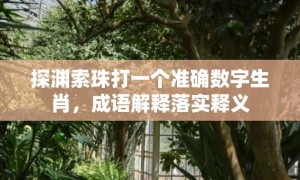 探渊索珠打一个准确数字生肖，成语解释落实释义