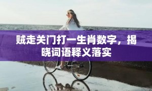 贼走关门打一生肖数字，揭晓词语释义落实