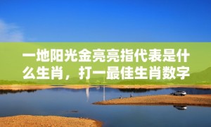 一地阳光金亮亮指代表是什么生肖，打一最佳生肖数字词语，解释落实释义