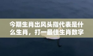 今期生肖出风头指代表是什么生肖，打一最佳生肖数字词语，解释落实释义