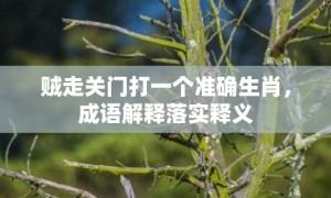 贼走关门打一个准确生肖，成语解释落实释义