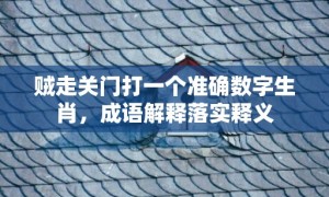 贼走关门打一个准确数字生肖，成语解释落实释义